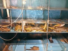 水产区-湘当有味(宋诏桥一店)