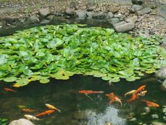 -苏州河梦清园环保主题公园