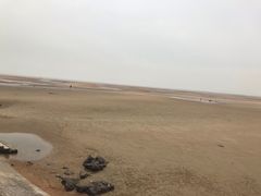 -刘家湾赶海园