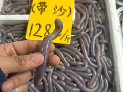 -寻味顺德·南记酒家·传统顺德菜·鱼生(广源路店)