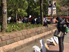 -人民公园-相亲角