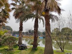 -桃园农庄·桃源宴