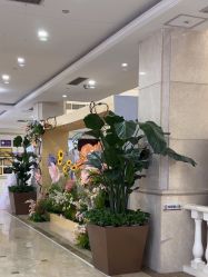 -禾丽康美医疗美容医院