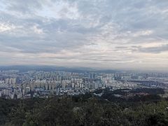 -长虫山生态公园风景林