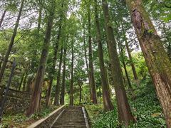 -莫干山风景区