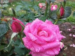 -人民公园(罗湖区)