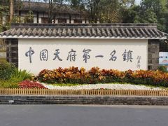 -黄龙溪古镇
