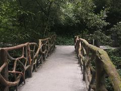 -神龙峡风景区
