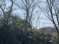 -浮山风景名胜区