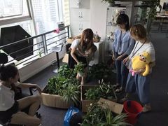 -帝京日语(春熙路旗舰校区)
