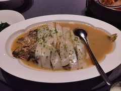 家烧大黄鱼年糕-桂满陇·海市蜃楼·黑金(国金店)