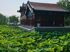 -万柳阁小馆·花园餐厅(龙潭湖店)