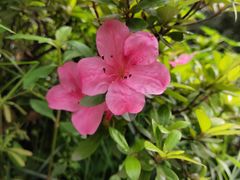 -西南政法大学(渝北校区)