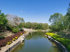 -大兴滨河森林公园