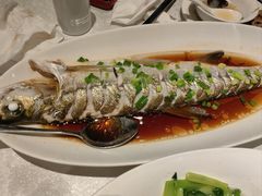 -金美华轩(东方路齐鲁店)