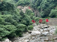 -陕西省红河谷森林公园