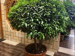 -饼中王酒楼(光复西路店)