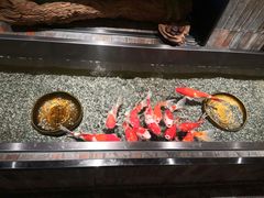 -0776食堂·京城创意菜(七里庄店)