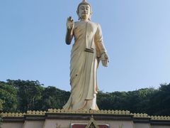 -西双版纳总佛寺