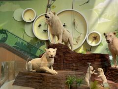 -陕西自然博物馆