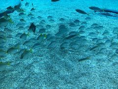 -大瓦罐湘土菜(海淀南路店)
