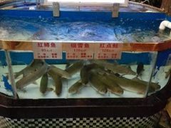 android_upload_pic-百鱼庄(仙葫店)