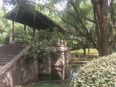 -阮氏酒家(柯桥店)