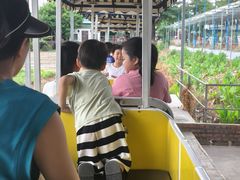 -新地休闲农场