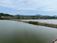 -盐洲岛