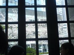 窗外的花儿-玛格萝妮比萨屋(四平店)