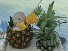 -苏小糖(鼓浪屿三丘田花园店)