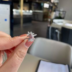 -VE DIAMOND·天然&培育钻石定制
