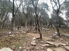 -龙洞风景区-藏龙涧