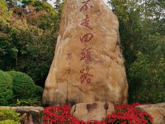 -罗三妹山