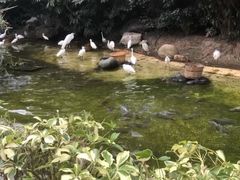 -珠海长隆海洋王国