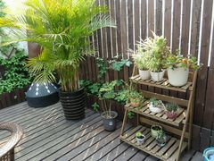 -新沙洞咖啡(泉乐坊店)