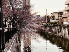 -成都濑川外国语学校