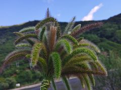 -北京山里寒舍度假酒店
