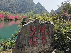 -靖西鹅泉风景区