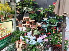 -FEI FEI FLOWER鲜花店·气球派对·宝宝宴布置(虹口德必运动Loft店)