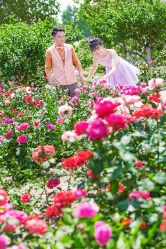 IMG_6465副本-戛纳印象摄影(潮拍定制馆)