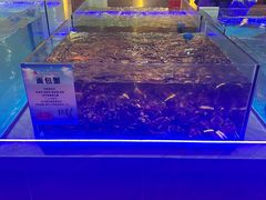 -鸽子张·家宴(大兴店)