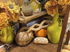 -乡田小墅(展览馆路JK FUN商城店)
