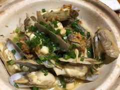 多肉老蛏-江南古镇(斗西路万致创意园店)