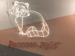 -浣熊柯尔鸭土拨鼠·电玩咖