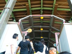 -飞天翼龙