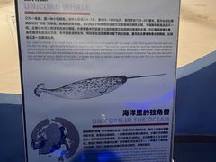 -重庆欢乐海底世界