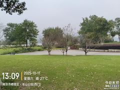 -羊山湖公园
