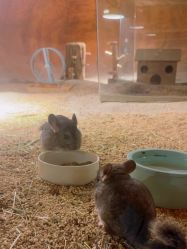 -酷嗒动物文化乐园(cutezoo西溪乐天城店)