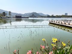 -顺峰山公园